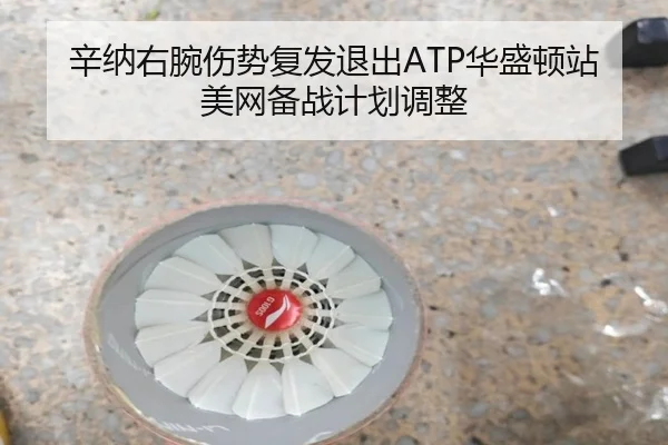 xin-na-you-wan-shang-shi-fu-fa-tui-chu-hua-sheng-dun-zhan-mei-wang-bei-zhan-ji-hua-tiao-zheng-2-979.jpg